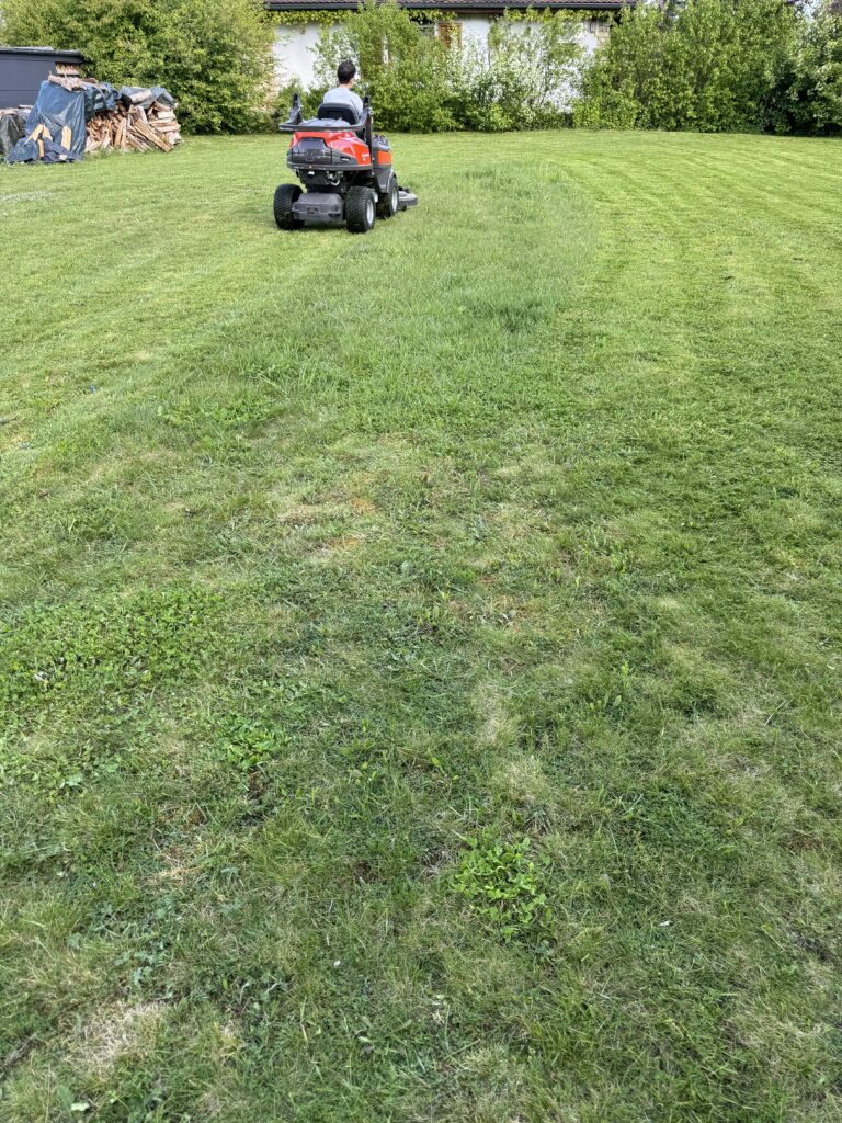 Rasen mähen Wiese mähen Grundstück mähen Bauplatz mähen mäharbeiten