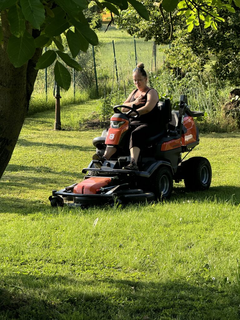 Rasen mähen Mäharbeiten Wiese Grundstücke mähen